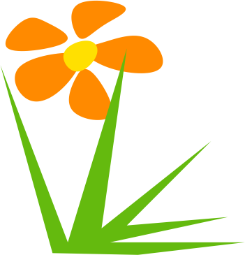 kwiatek